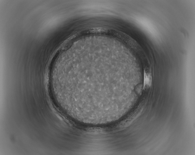 X0000113060435200909250912