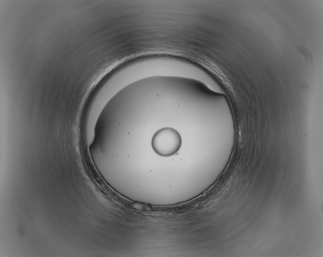 X0000113060436200909250912