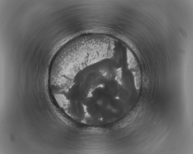 X0000113060437200909250912