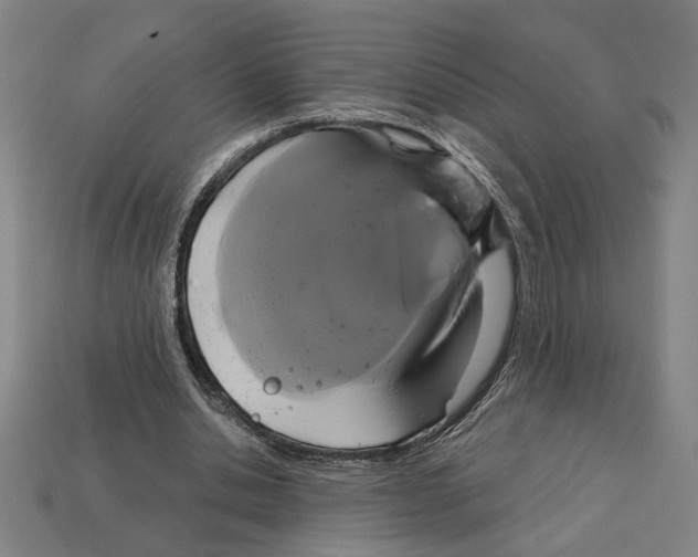 X0000113060438200909250912