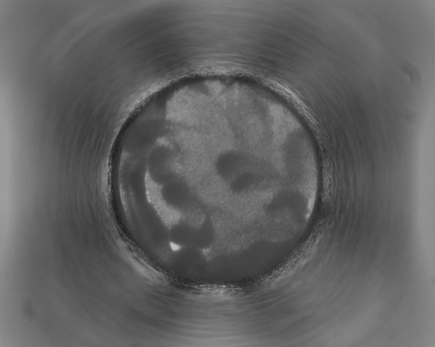 X0000113060439200909250912