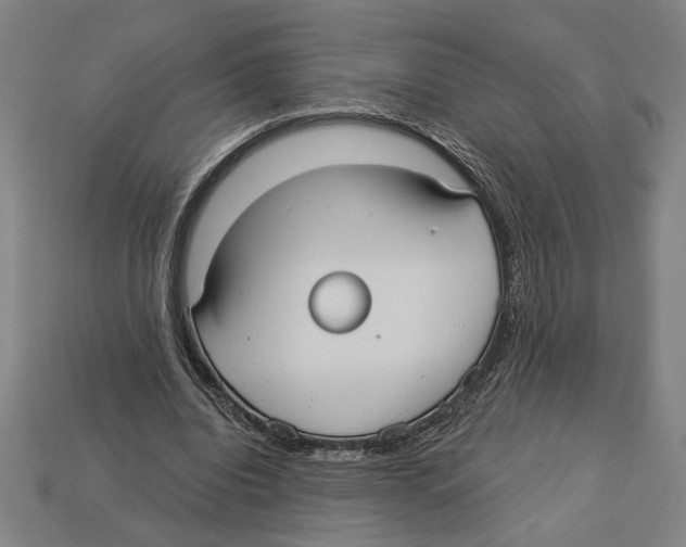 X0000113060440200909250912