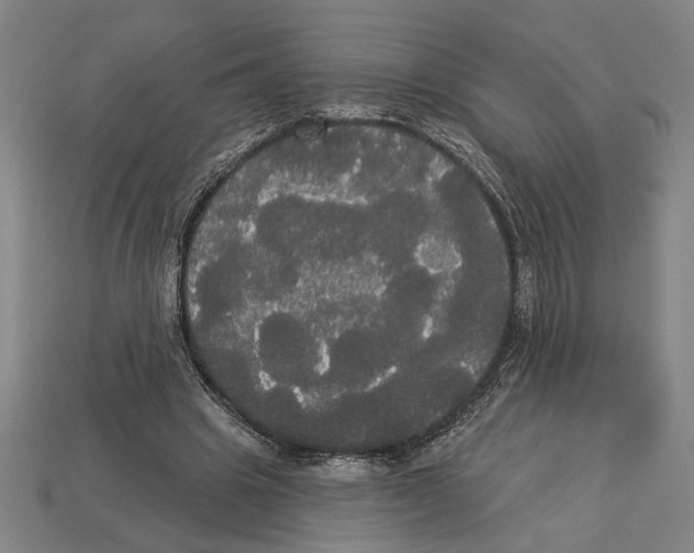 X0000113060441200909250912