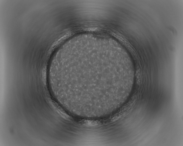 X0000113060442200909250912