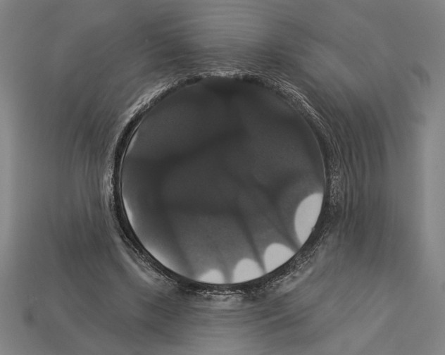 X0000113060443200909250912