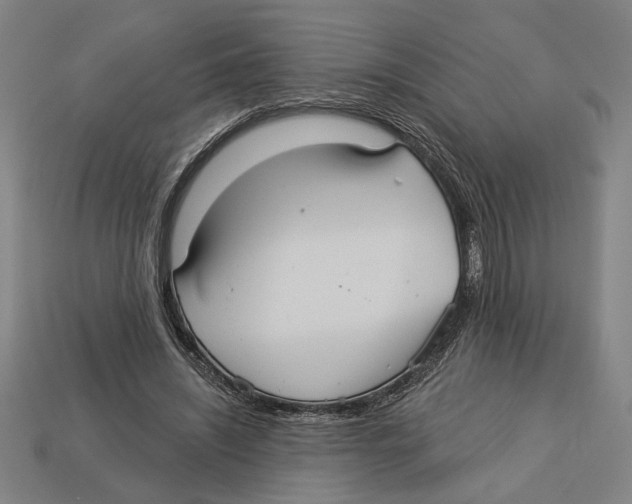 X0000113060444200909250912