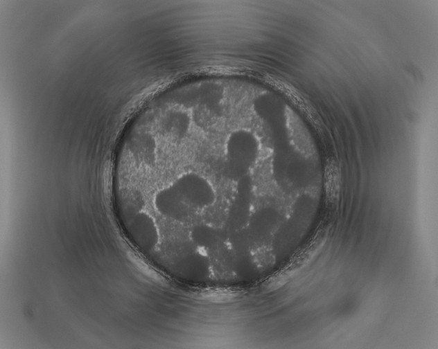 X0000113060445200909250912