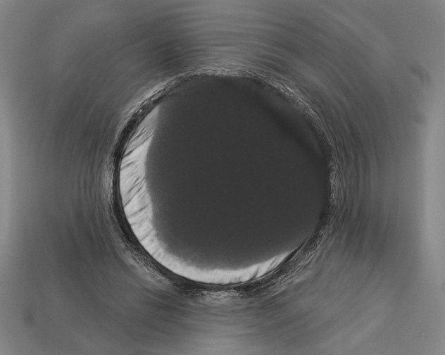 X0000113060446200909250912