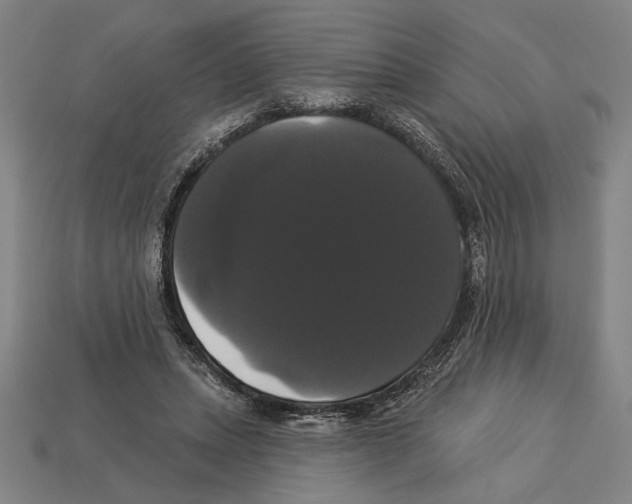 X0000113060447200909250912