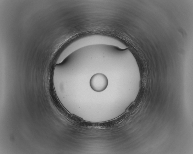 X0000113060448200909250912