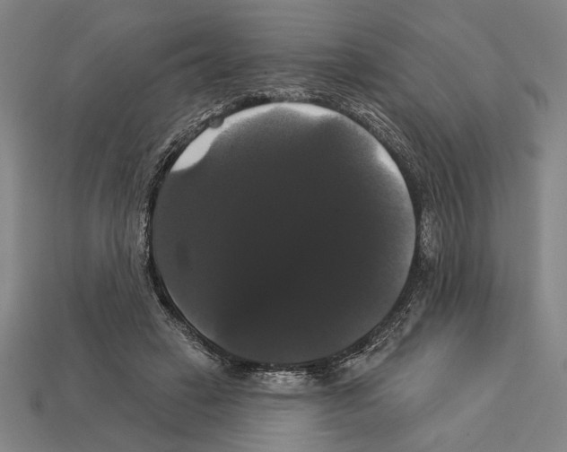 X0000113060449200909250912