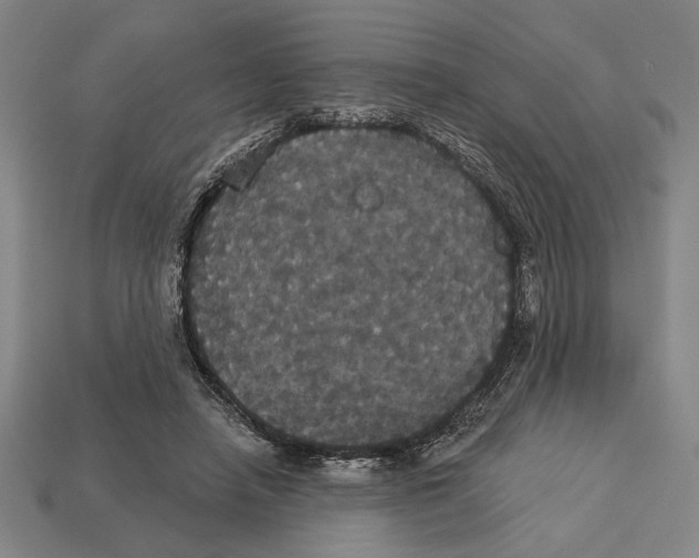 X0000113060450200909250912