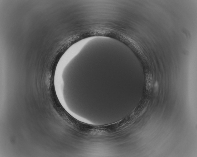 X0000113060451200909250912