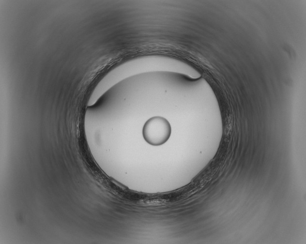 X0000113060452200909250912