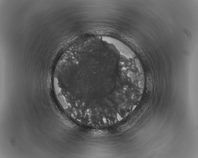 X0000113060453200909250912