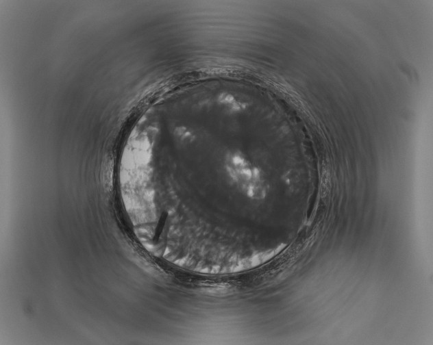 X0000113060454200909250912