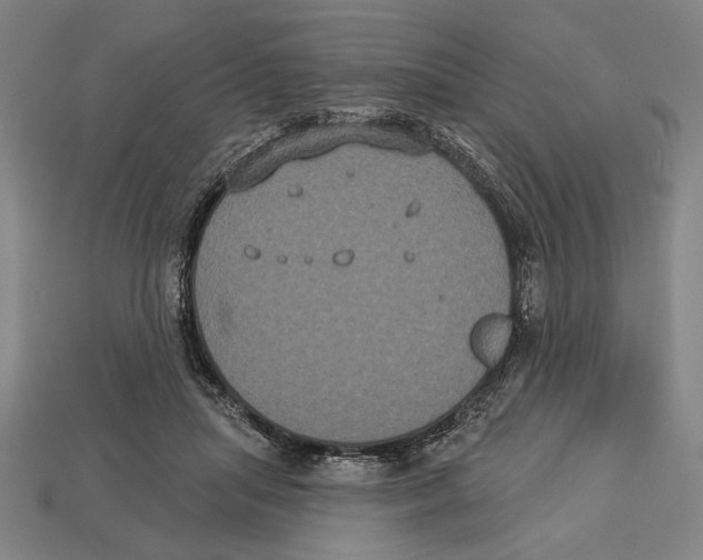 X0000113060455200909250912