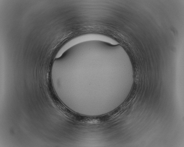 X0000113060456200909250912