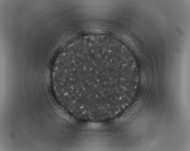 X0000113060457200909250912