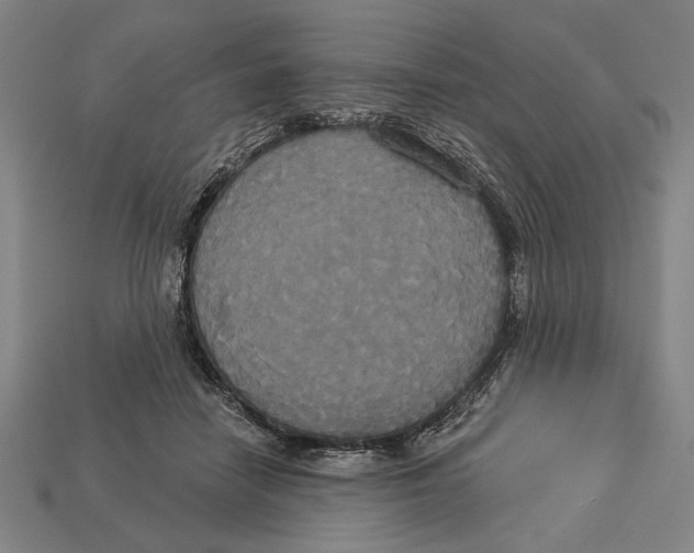 X0000113060458200909250912