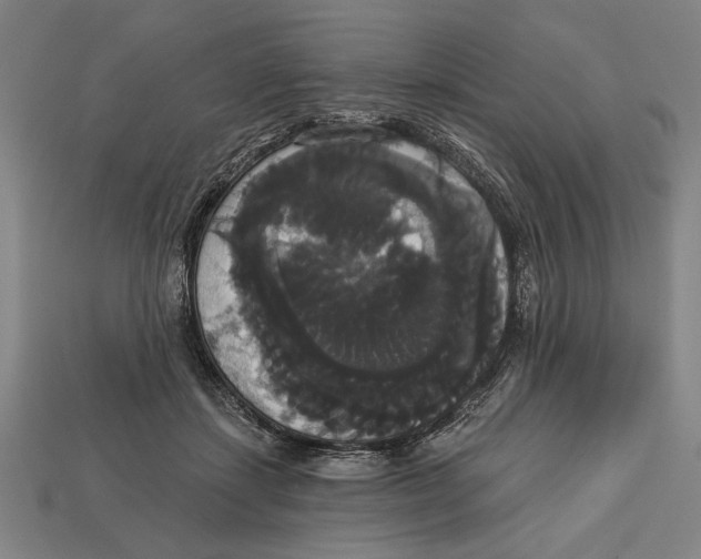 X0000113060459200909250912