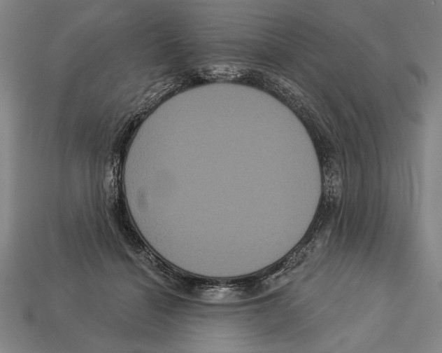 X0000113060460200909250912