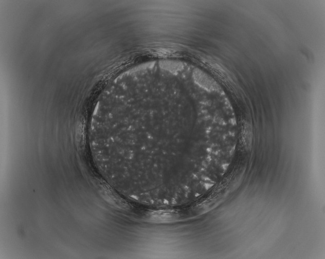 X0000113060461200909250912