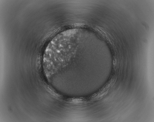 X0000113060462200909250912