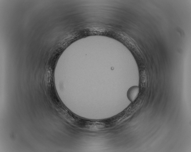 X0000113060463200909250912