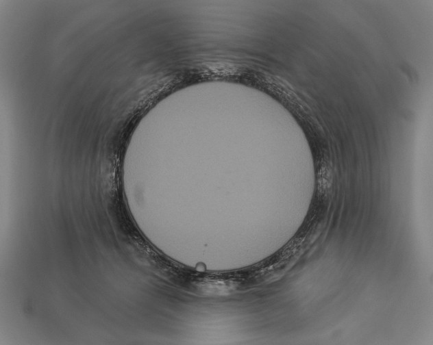 X0000113060464200909250912