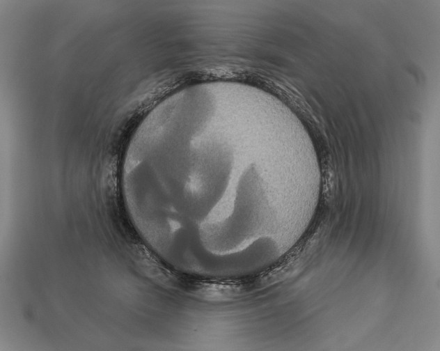 X0000113060466200909250912