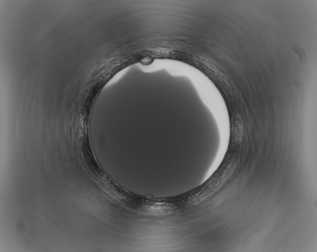 X0000113060467200909250912