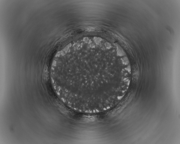 X0000113060469200909250912