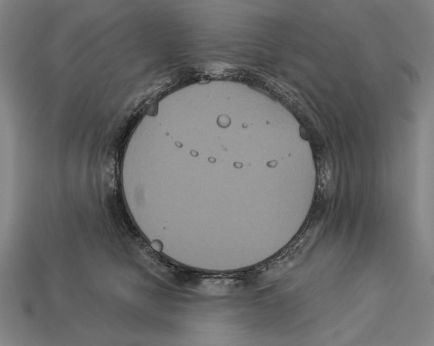 X0000113060470200909250912