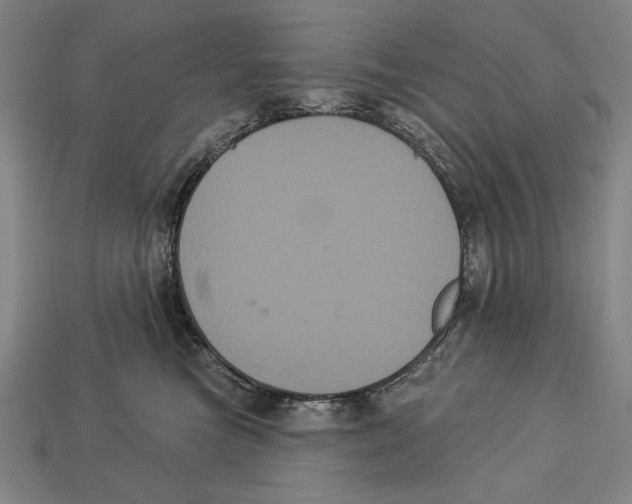 X0000113060473200909250912