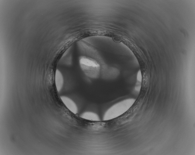 X0000113060474200909250912