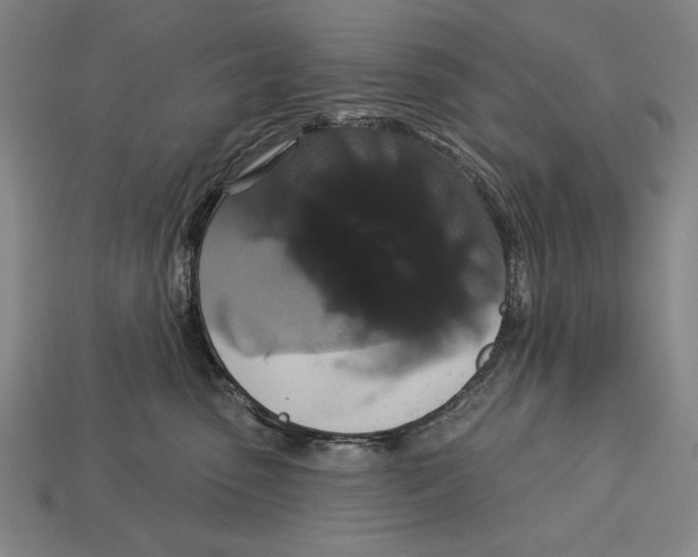 X0000113060475200909250912