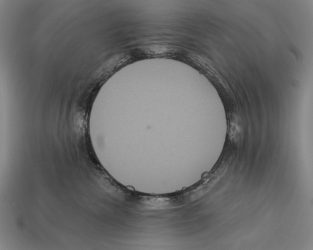 X0000113060476200909250912