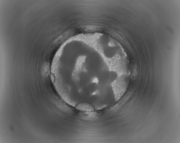 X0000113060478200909250912