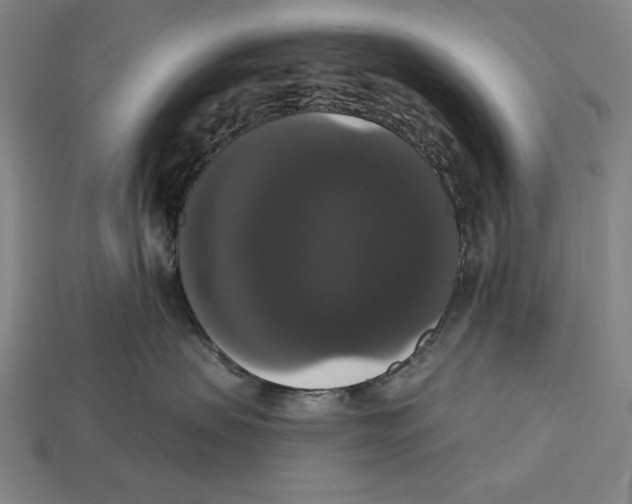 X0000113060479200909250912