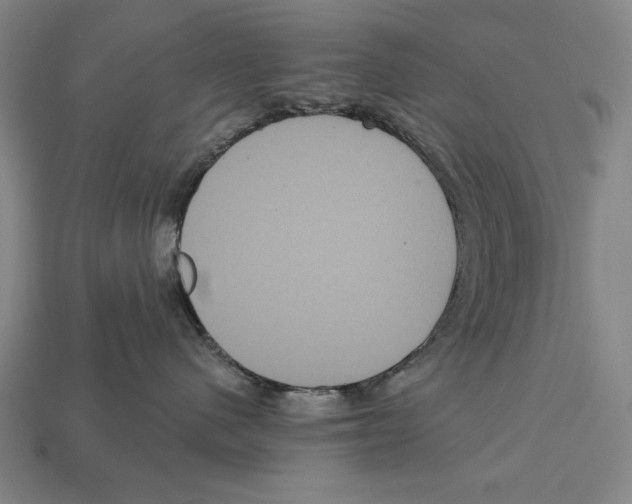 X0000113060480200909250912