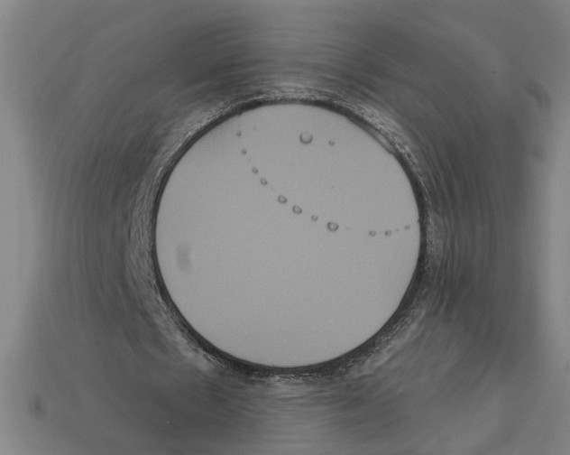 X0000113060481200909250912