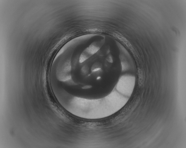 X0000113060482200909250912