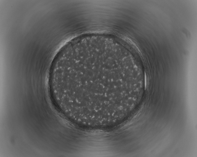 X0000113060483200909250912