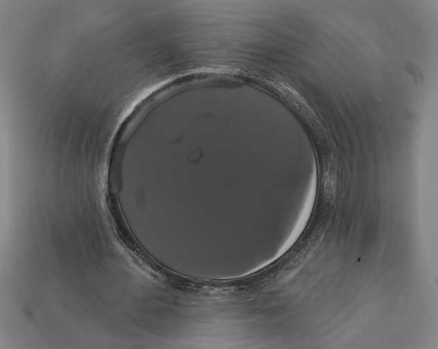 X0000113060484200909250912