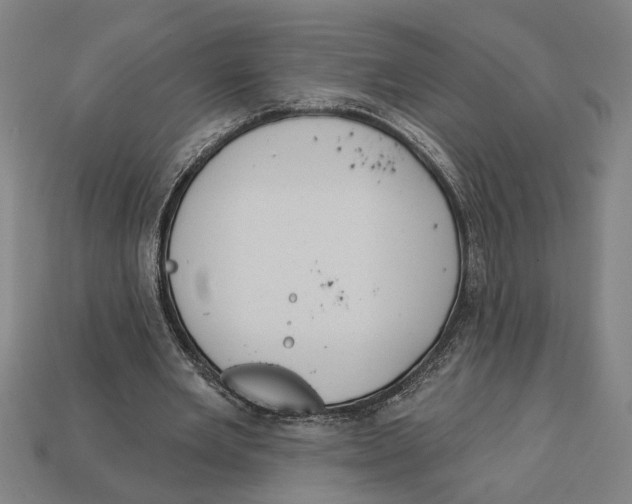 X0000113060485200909250912