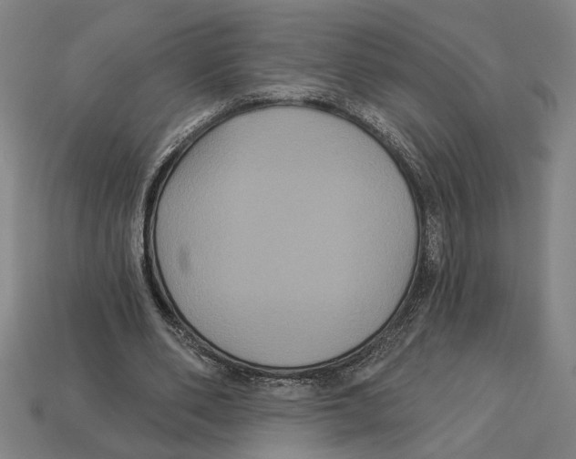 X0000113060486200909250912