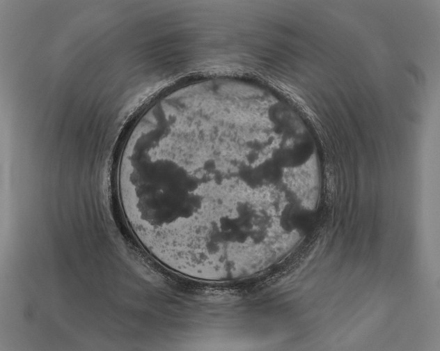 X0000113060487200909250912