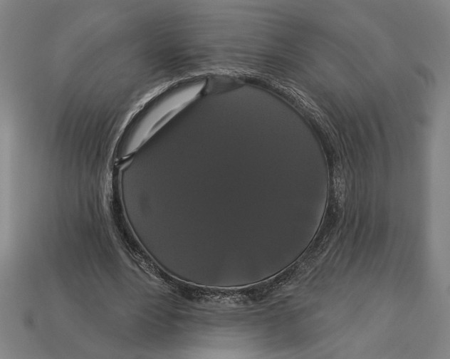 X0000113060488200909250912