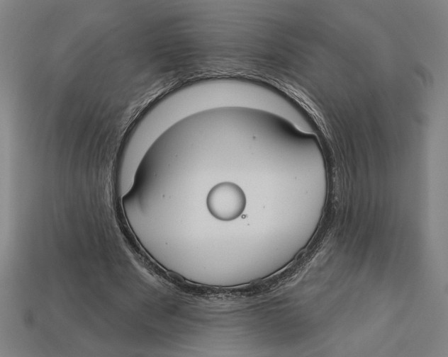 X0000113060489200909250912